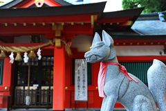 お狐に見守られて