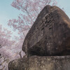 高遠