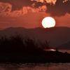 夕陽