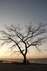 夕景