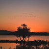 琵琶湖　夕景