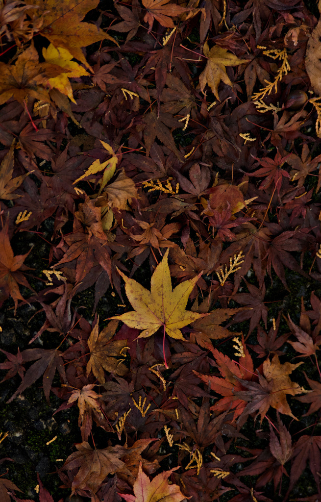 足元