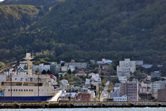 故郷は愛すべき函館