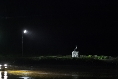 雨の日遊び