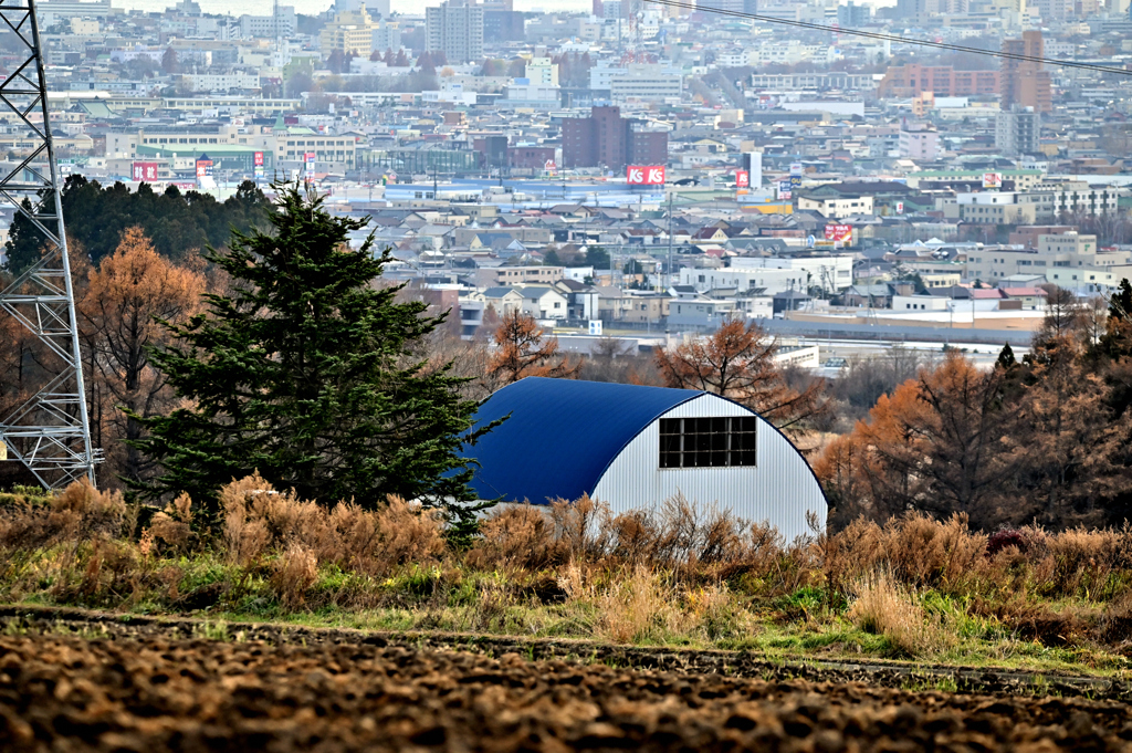 青い屋根