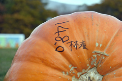 大沼公園ハロウィンのカボチャ　其之弐
