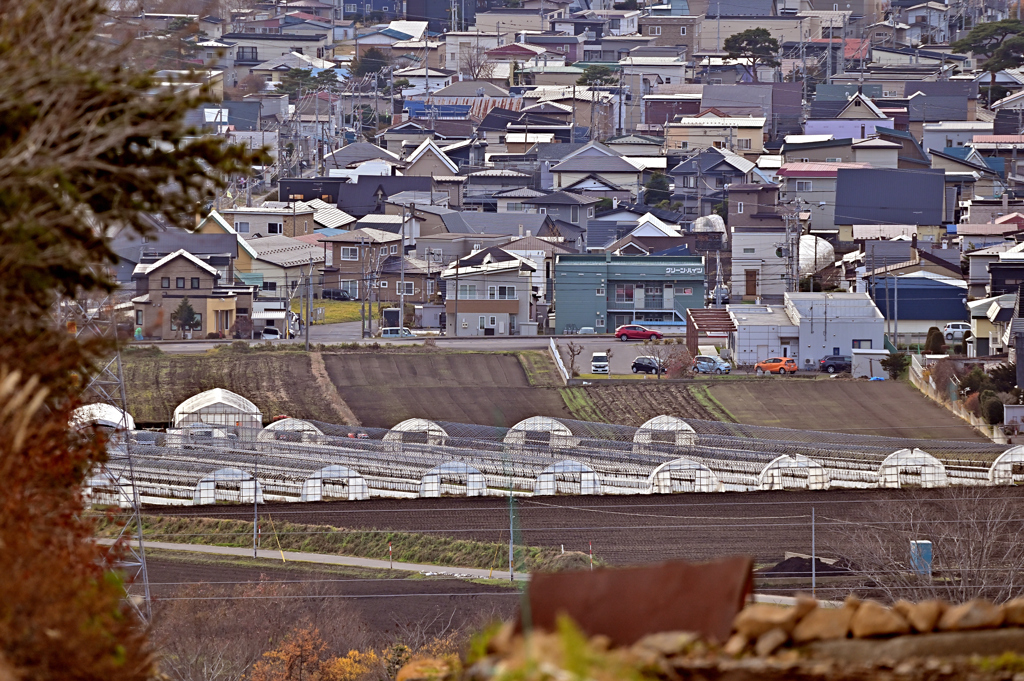畑の向こうは住宅街