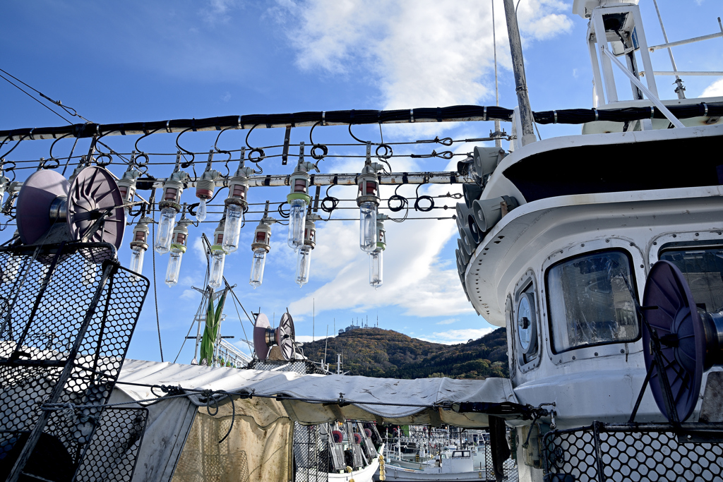 イカ釣り船に函館山