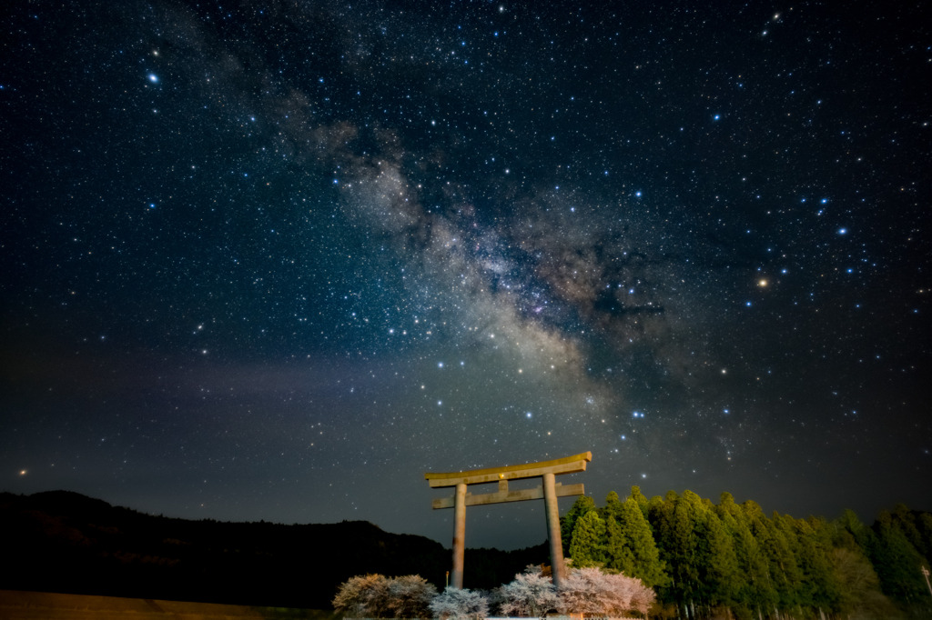 宇宙と鳥居と桜