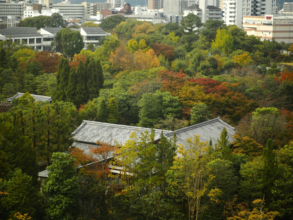 姫路城から