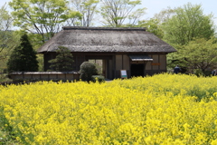 宮城県川崎町・みちのく杜の湖畔公園