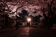 仙台・松音寺