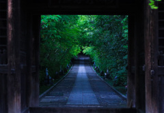 輪王寺山門