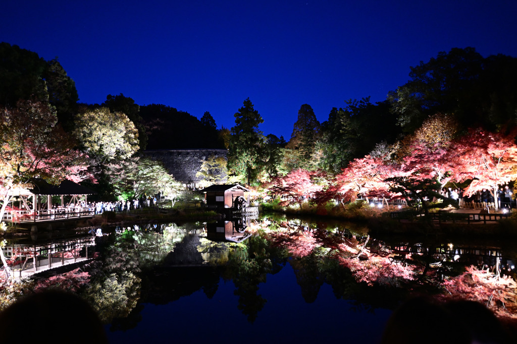 紅葉ライトアップ