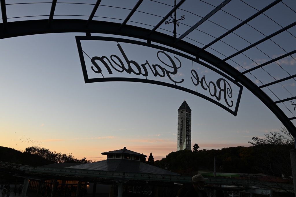 東山動植物園の夕焼け