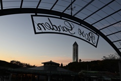 東山動植物園の夕焼け