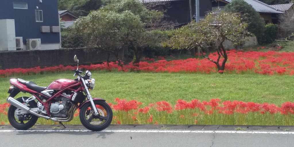 愛車と彼岸花