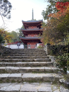 秋のお寺