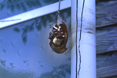 image 02