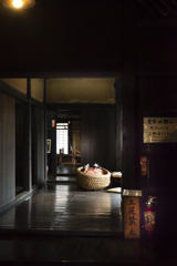 伝承の里冬物語【vol.04】