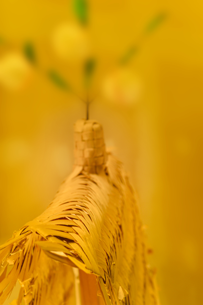 毛越寺にて【vol.06】