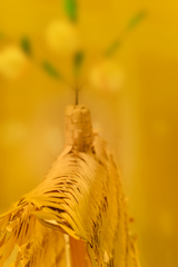 毛越寺にて【vol.06】