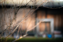 伝承の里冬物語【vol.20】