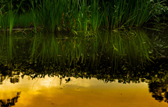 民族村の夏【last】