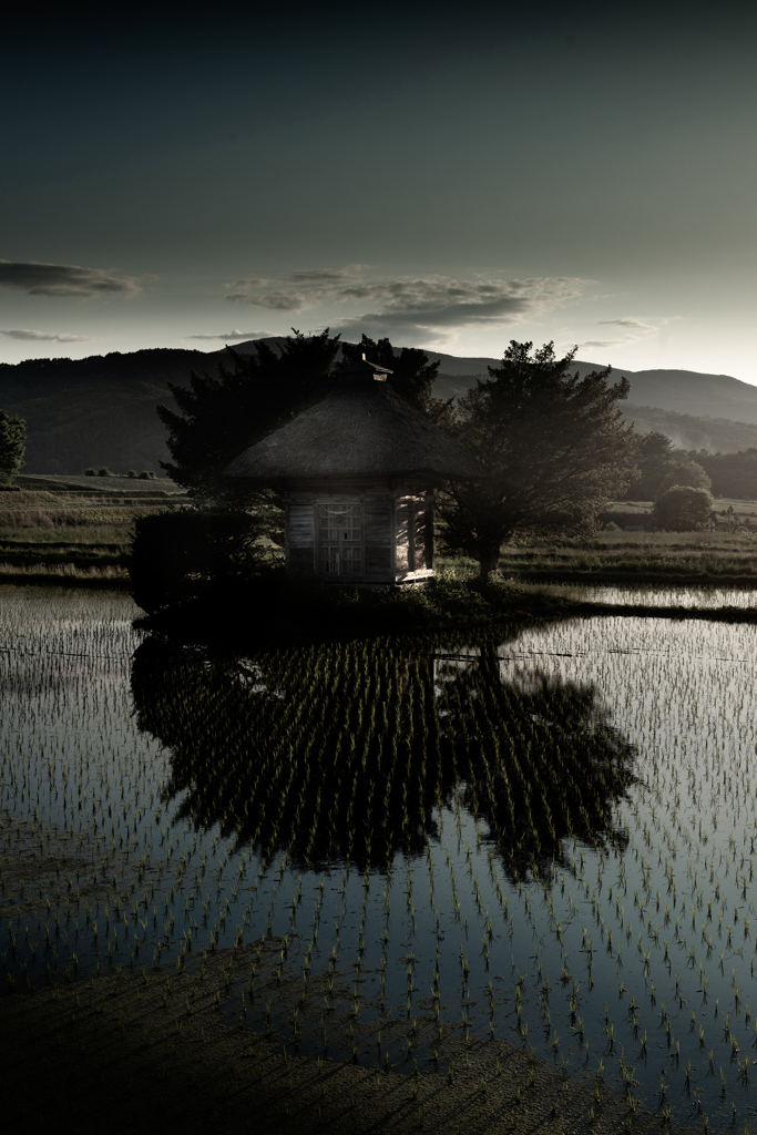 荒神様の田んぼ【その1】