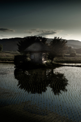 荒神様の田んぼ【その1】