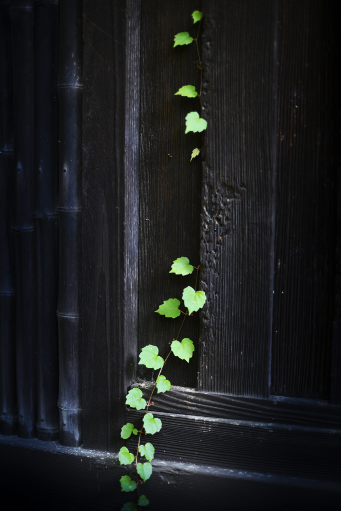 南昌荘【その13】