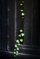 南昌荘【その13】