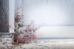 photo hito street 【001】夏の日差し
