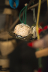 伝承の里冬物語【vol.09】