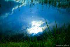 夕暮れの田んぼ