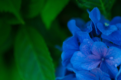 民族村の夏【vol.14】