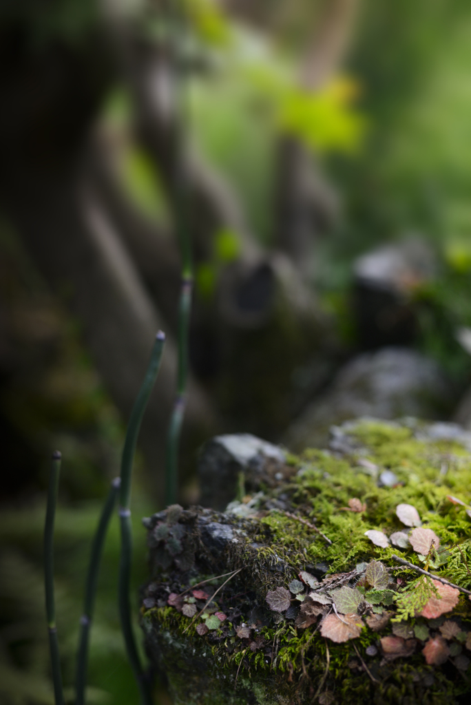 南昌荘【その11】