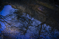 sakura PART2【last】