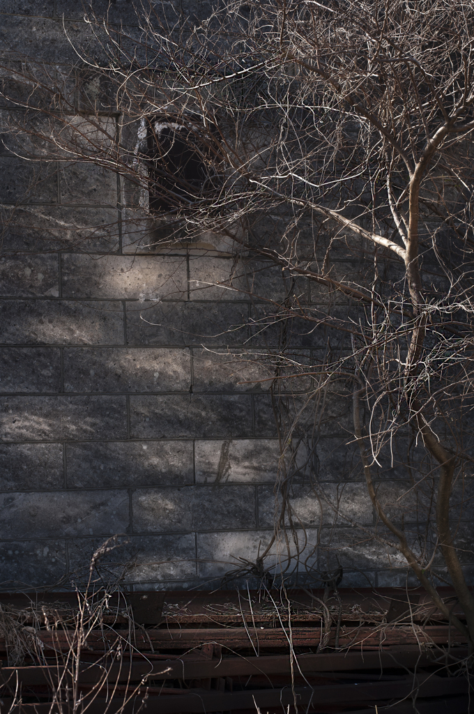 秋の終わり【その3】