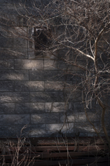 秋の終わり【その3】