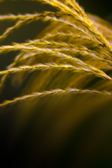 秋の終わり【その5】