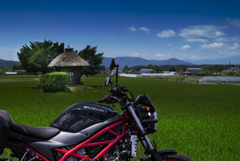 スズキSV650と荒神様