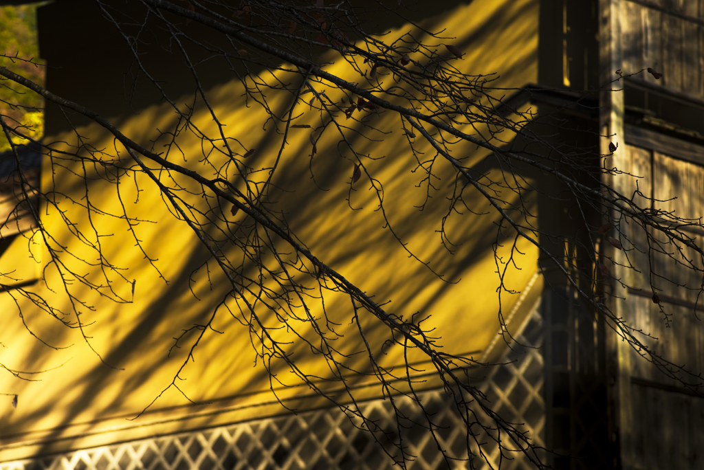 曲り家・千葉家の秋【vol.03】