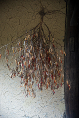 民族村の夏【vol.16】