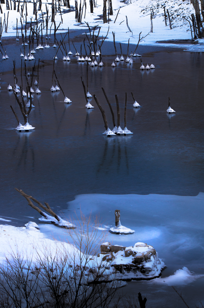 名もない冬の沼にて【last】