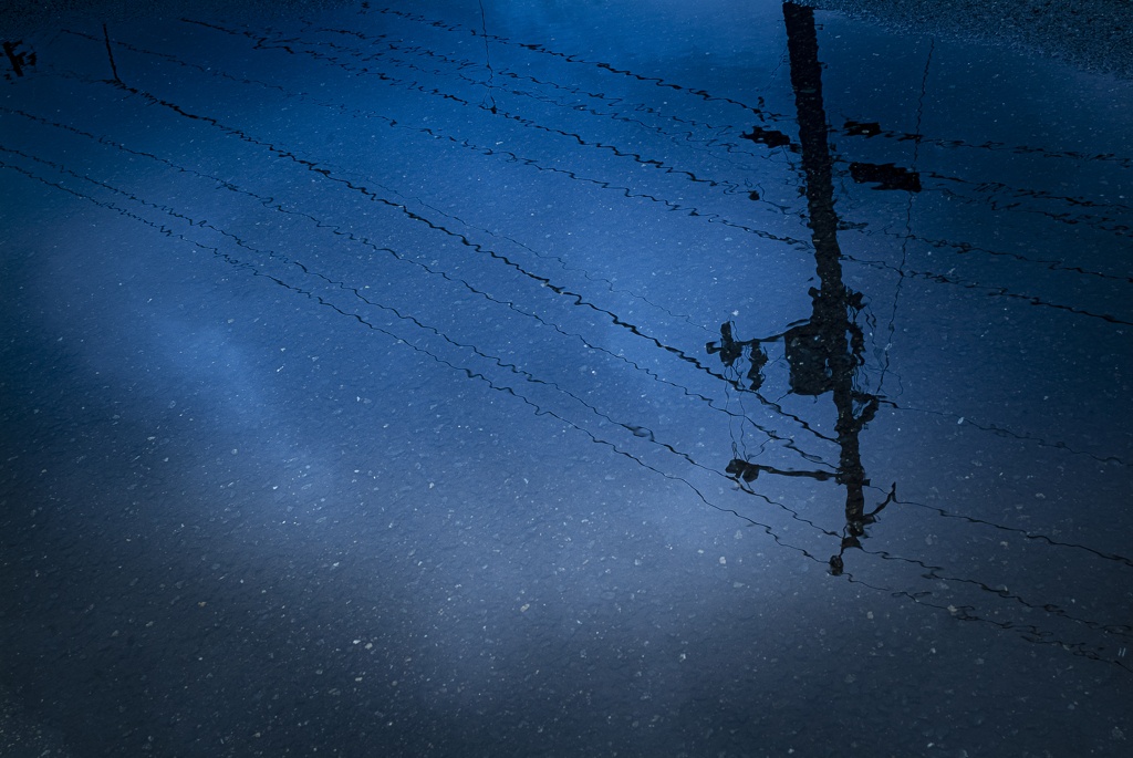 雨あがり 2