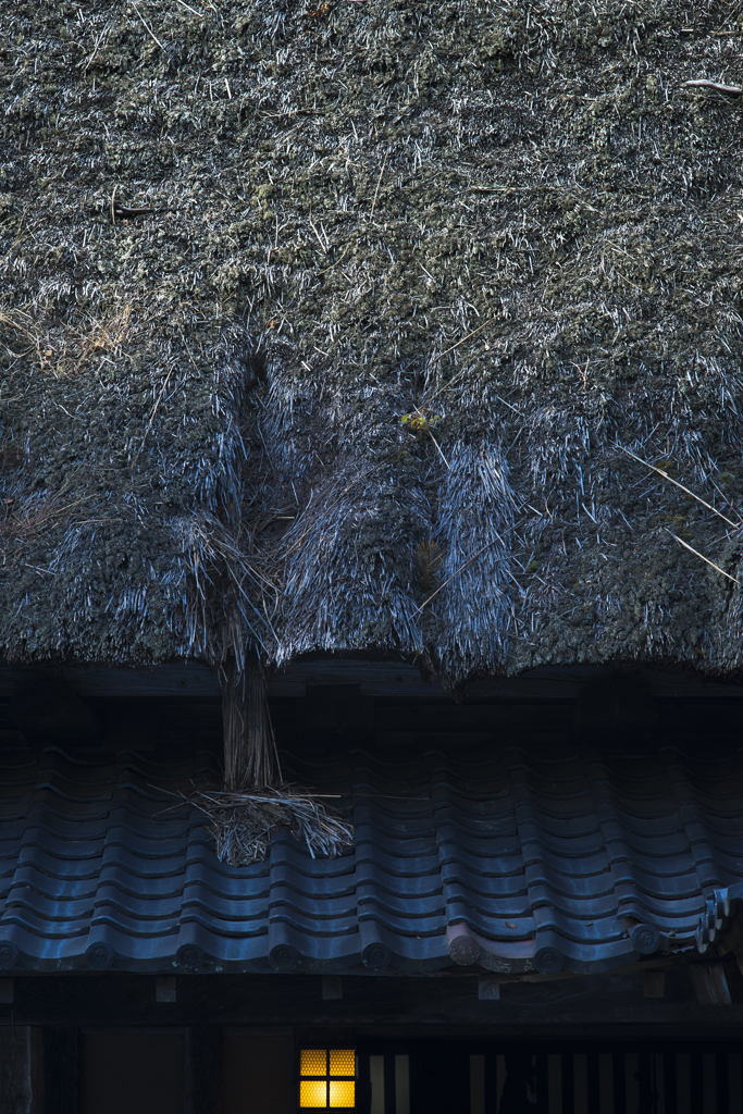 曲り家・千葉家の秋【vol.09】