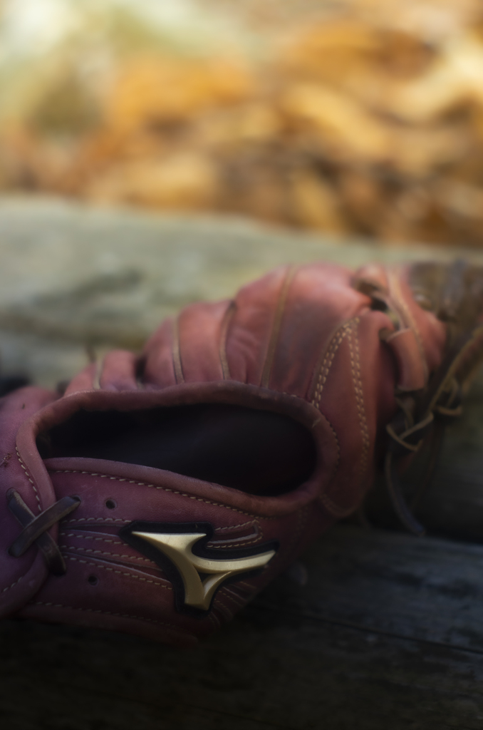 公園で見つけたグローブ