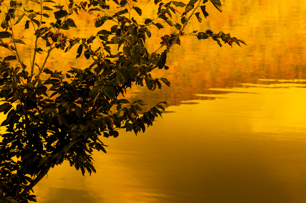 秋の風景【07】