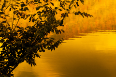 秋の風景【07】